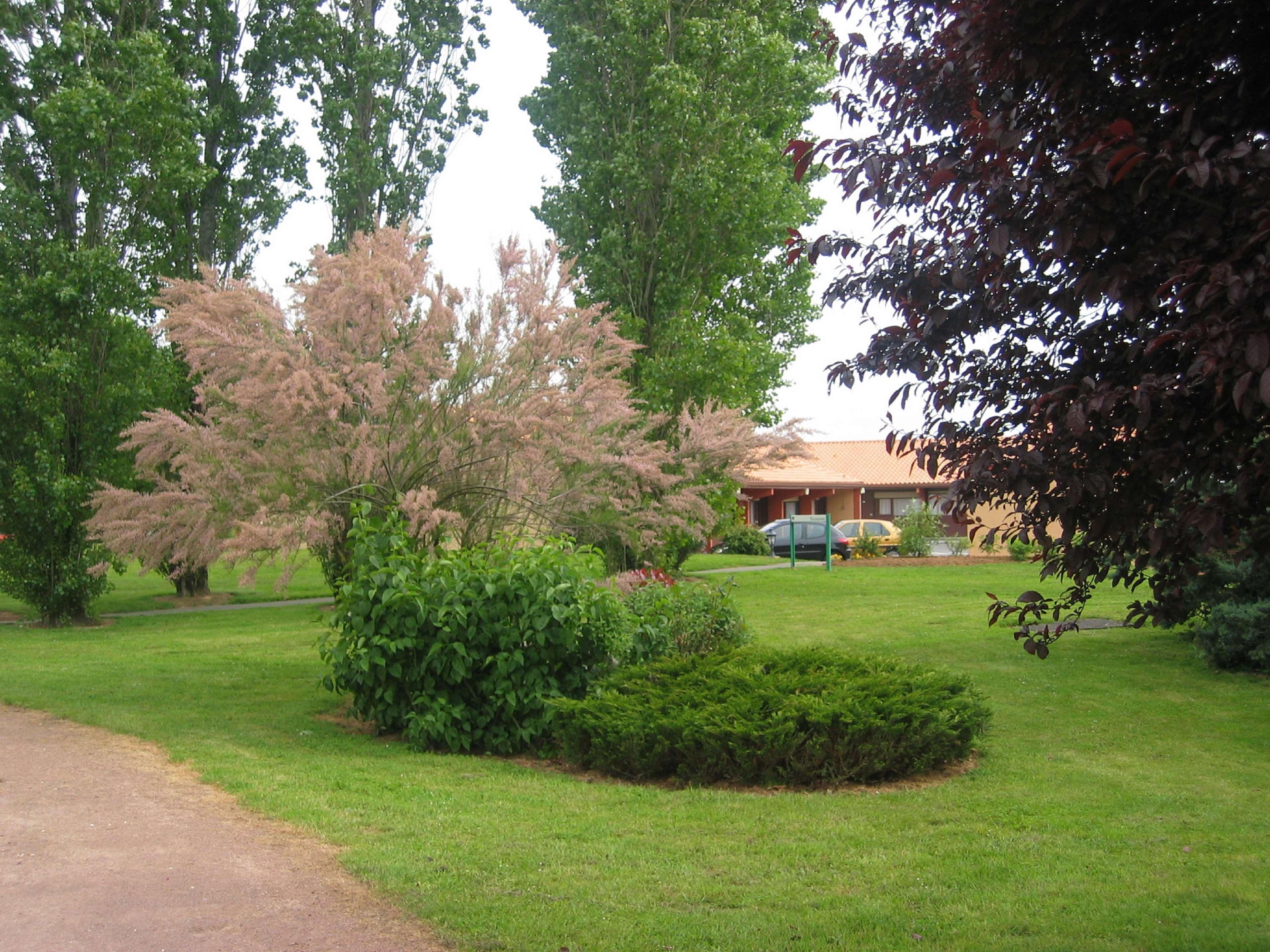 Kyriad Niort - La Creche Exterior foto